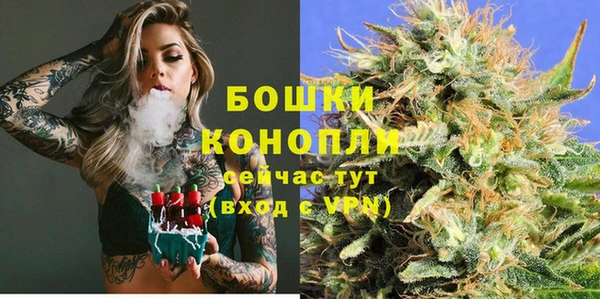 гидра Белоозёрский