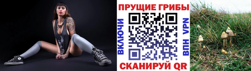 Галлюциногенные грибы ЛСД  Усмань 